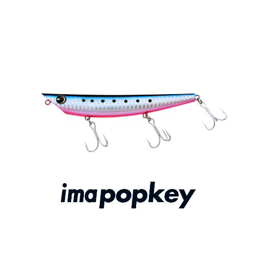 Picture of Ima Popkey 120