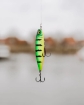 Picture of Rapala Precision Xtreme Pencil Freshwater 10,7 cm