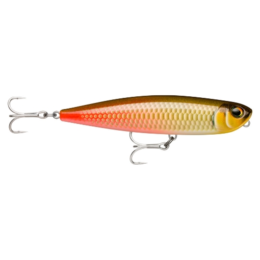 Picture of Rapala Precision Xtreme Pencil Exo 10,7 cm